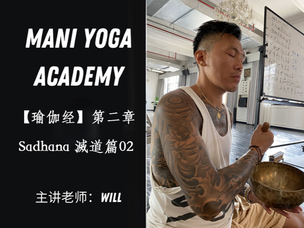 【瑜伽经】第二章滅道篇第2序列—Will