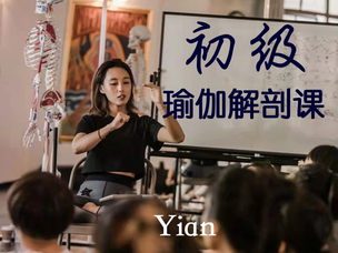 瑜伽解剖课-初级yian