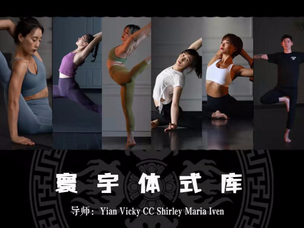 寰宇瑜伽体式库