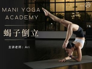 【蝎子倒立】Ari老师带你解锁优雅的弧度