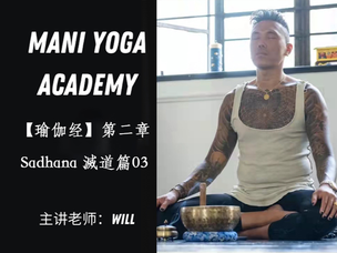 【瑜伽经】第二章滅道篇第3序列—Will